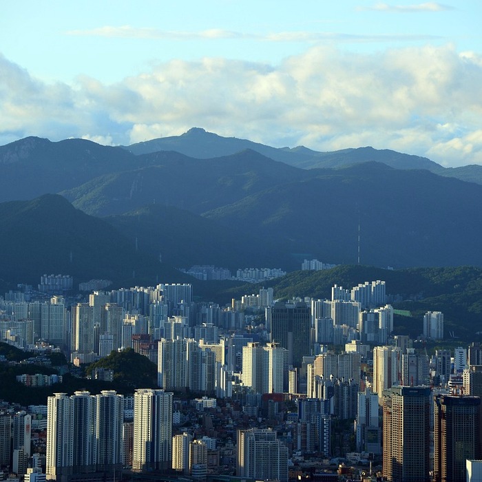 폐업 연말정산