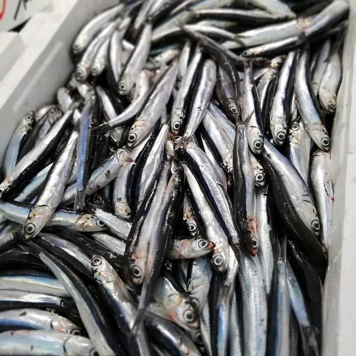 멸치 육수 만들기