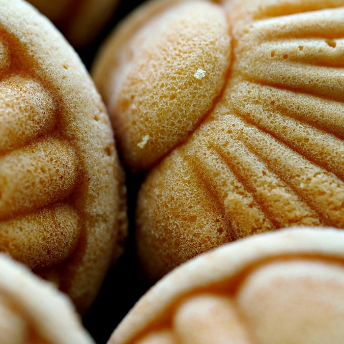 즌다모찌 간식