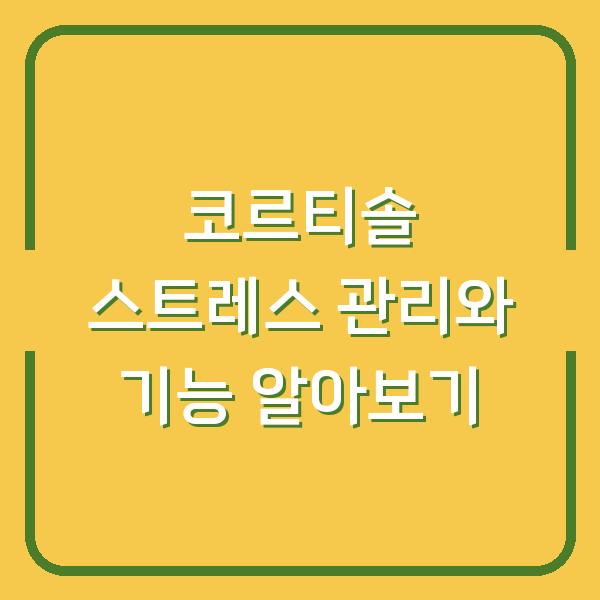 코르티솔 스트레스 관리와 기능 알아보기