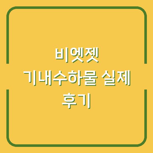 비엣젯 기내수하물 실제 후기