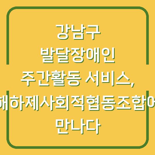 강남구 발달장애인 주간활동 서비스, 아해하제사회적협동조합에서 만나다