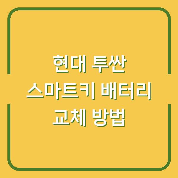 현대 투싼 스마트키 배터리 교체 방법
