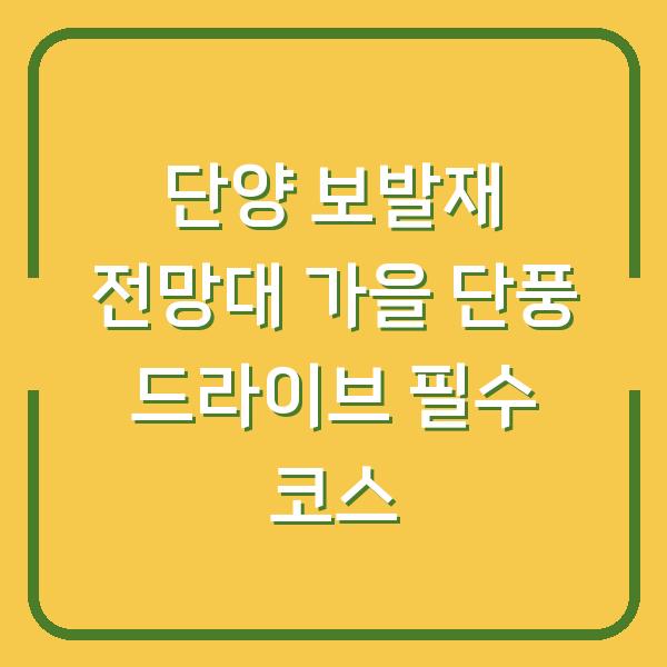 단양 보발재 전망대 가을 단풍 드라이브 필수 코스