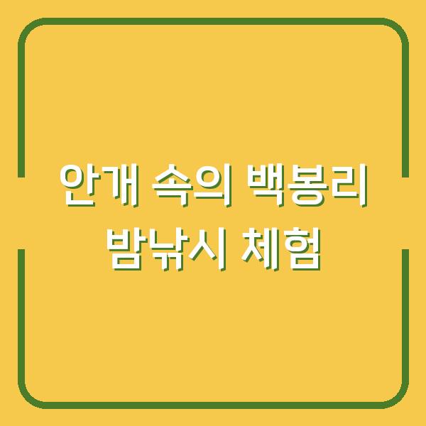 안개 속의 백봉리 밤낚시 체험