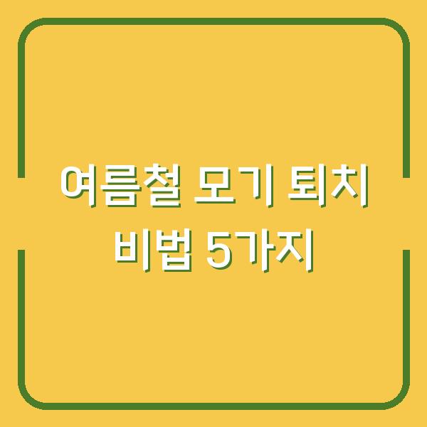 여름철 모기 퇴치 비법 5가지