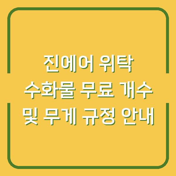 진에어 위탁 수화물 무료 개수 및 무게 규정 안내
