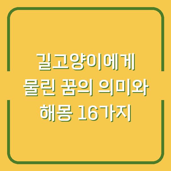 길고양이에게 물린 꿈의 의미와 해몽 16가지