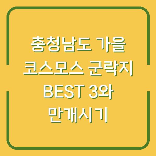 충청남도 가을 코스모스 군락지 BEST 3와 만개시기