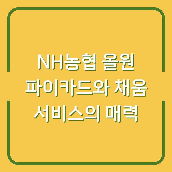 NH농협 올원 파이카드와 채움 서비스의 매력