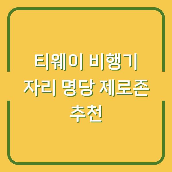 티웨이 비행기 자리 명당 제로존 추천