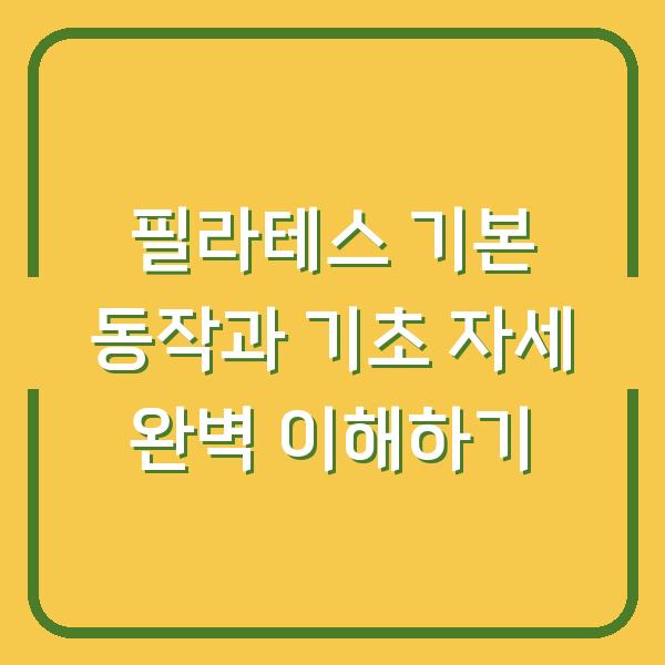 필라테스 기본 동작과 기초 자세 완벽 이해하기