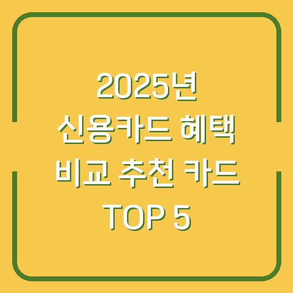 2025년 신용카드 혜택 비교 추천 카드 TOP 5