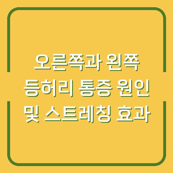 오른쪽과 왼쪽 등허리 통증 원인 및 스트레칭 효과