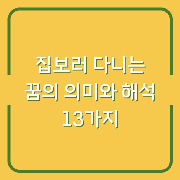 집보러 다니는 꿈의 의미와 해석 13가지