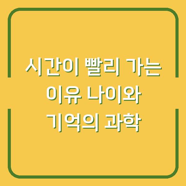 시간이 빨리 가는 이유 나이와 기억의 과학