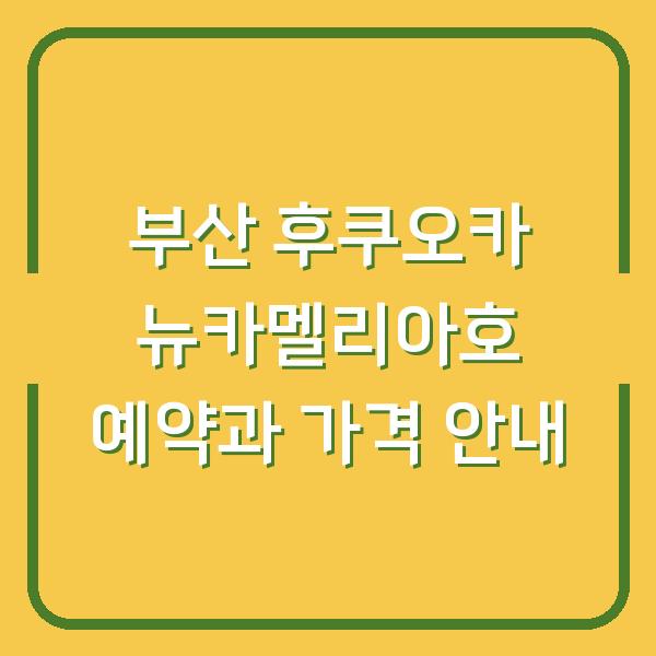 부산 후쿠오카 뉴카멜리아호 예약과 가격 안내