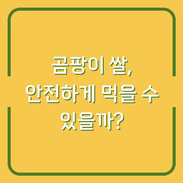 곰팡이 쌀, 안전하게 먹을 수 있을까?