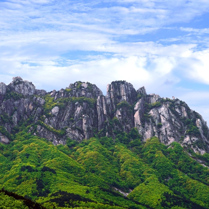 설악산 단풍