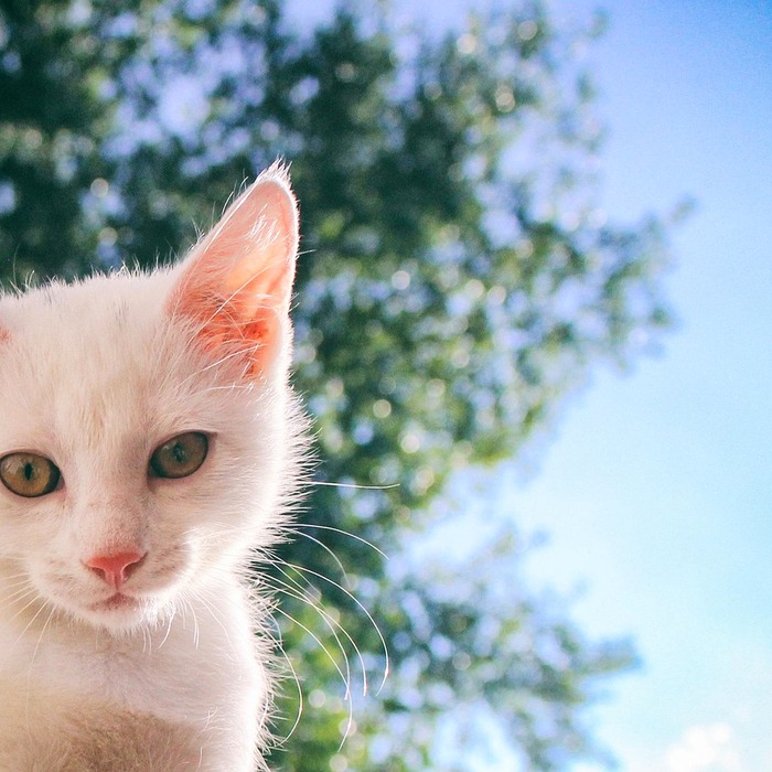 CAT 검사 진행