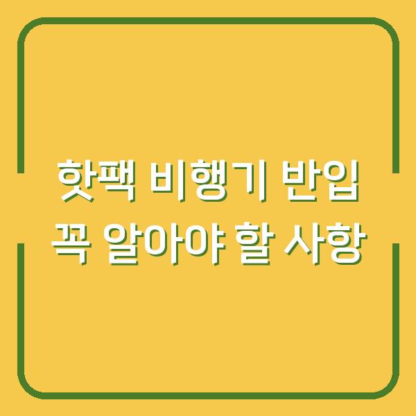 핫팩 비행기 반입 꼭 알아야 할 사항
