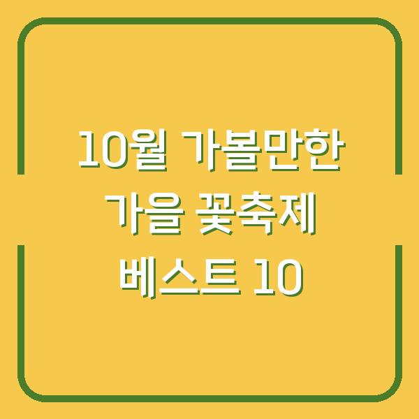 10월 가볼만한 가을 꽃축제 베스트 10