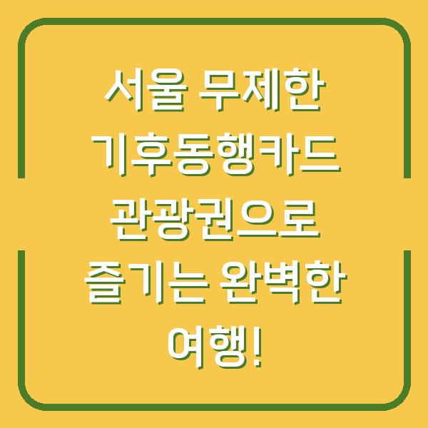 서울 무제한 기후동행카드 관광권으로 즐기는 완벽한 여행!