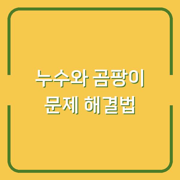 누수와 곰팡이 문제 해결법