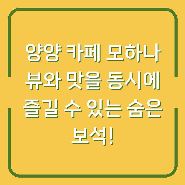 양양 카페 모하나 뷰와 맛을 동시에 즐길 수 있는 숨은 보석!
