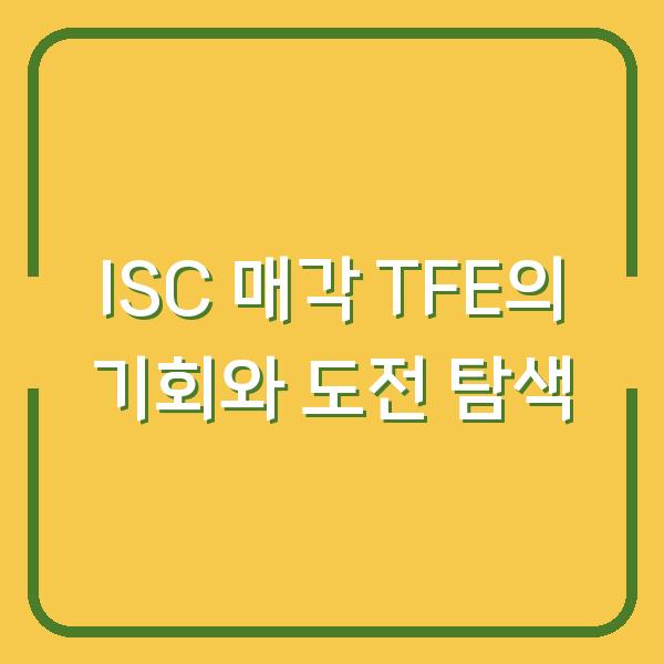 ISC 매각 TFE의 기회와 도전 탐색