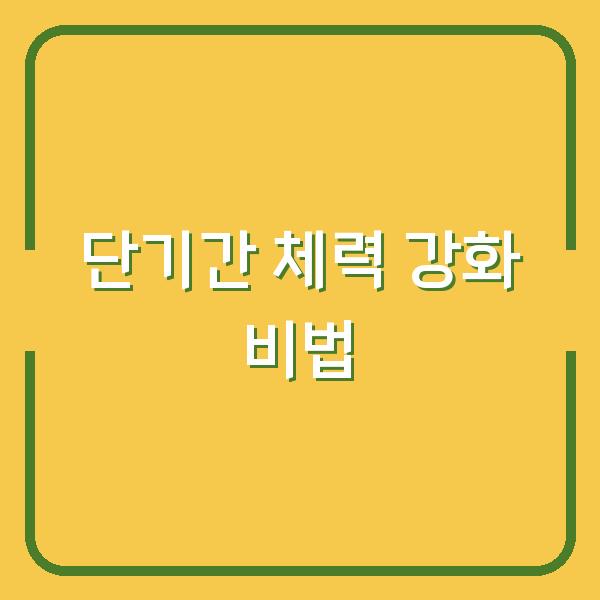 단기간 체력 강화 비법