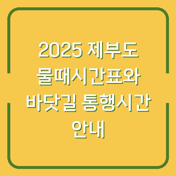 2025 제부도 물때시간표와 바닷길 통행시간 안내