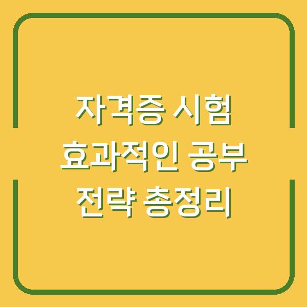 자격증 시험 효과적인 공부 전략 총정리