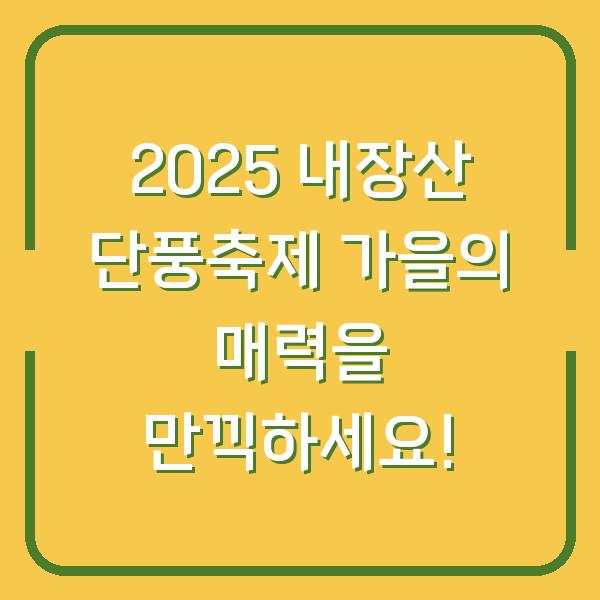 2025 내장산 단풍축제 가을의 매력을 만끽하세요!