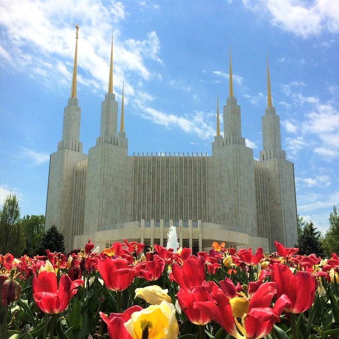 LDS 라이다 센서