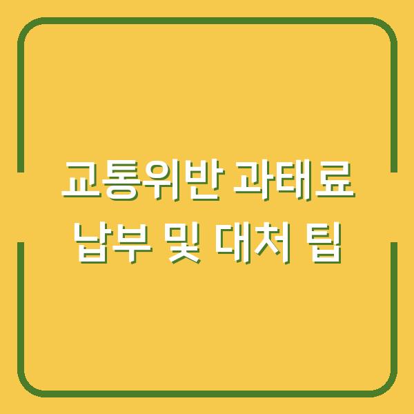교통위반 과태료 납부 및 대처 팁