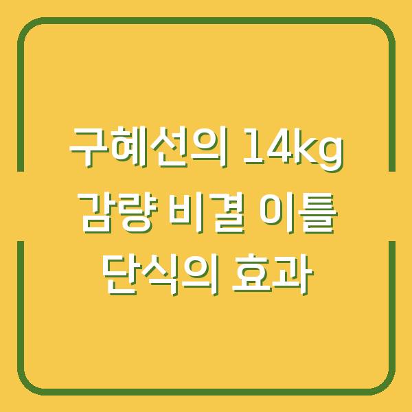 구혜선의 14kg 감량 비결 이틀 단식의 효과