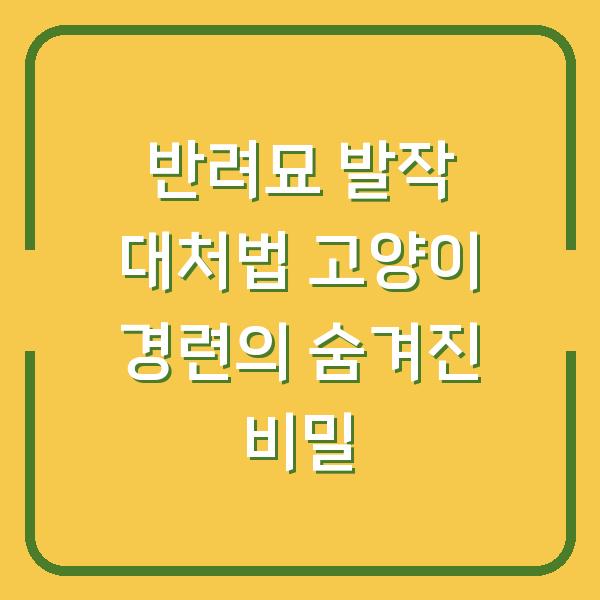 반려묘 발작 대처법 고양이 경련의 숨겨진 비밀