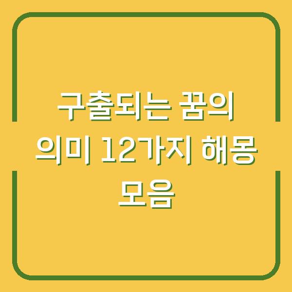 구출되는 꿈의 의미 12가지 해몽 모음