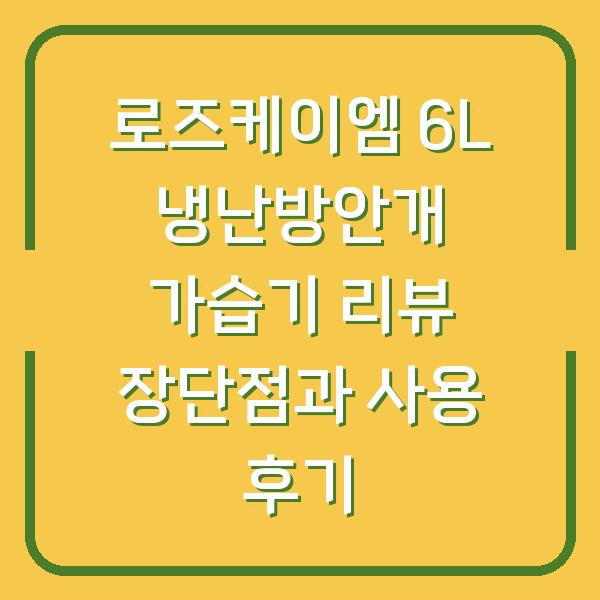 로즈케이엠 6L 냉난방안개 가습기 리뷰 장단점과 사용 후기
