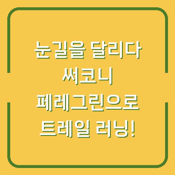 눈길을 달리다 써코니 페레그린으로 트레일 러닝!