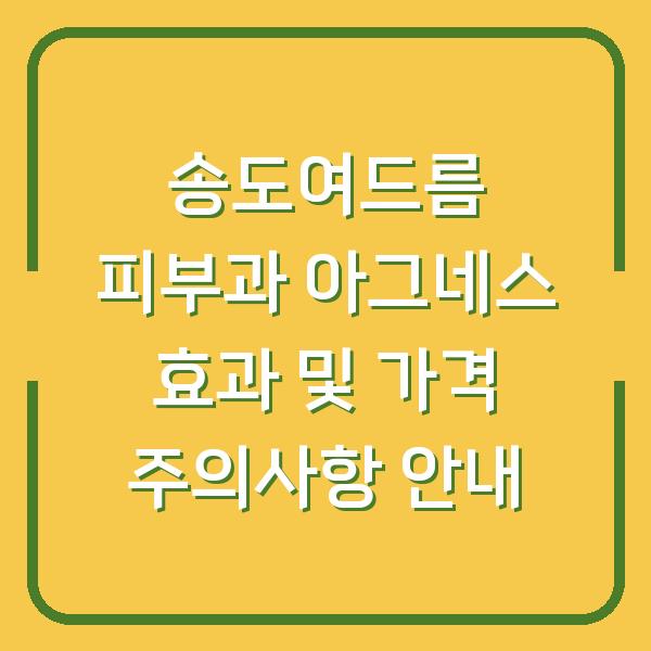 송도여드름 피부과 아그네스 효과 및 가격 주의사항 안내
