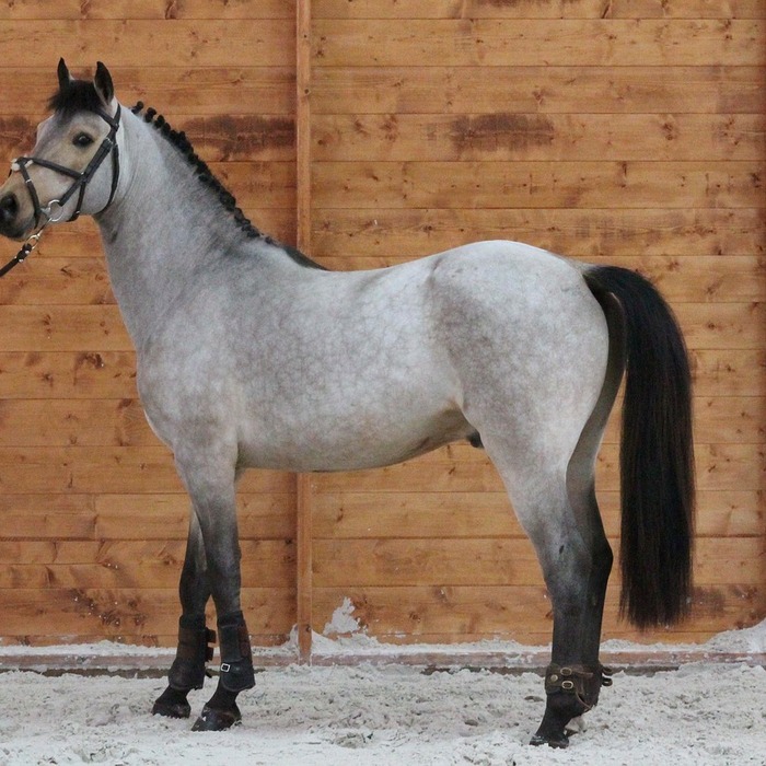 공복혈당 기준