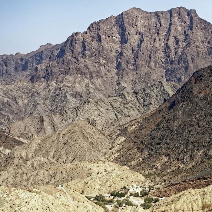 뱀의 종류