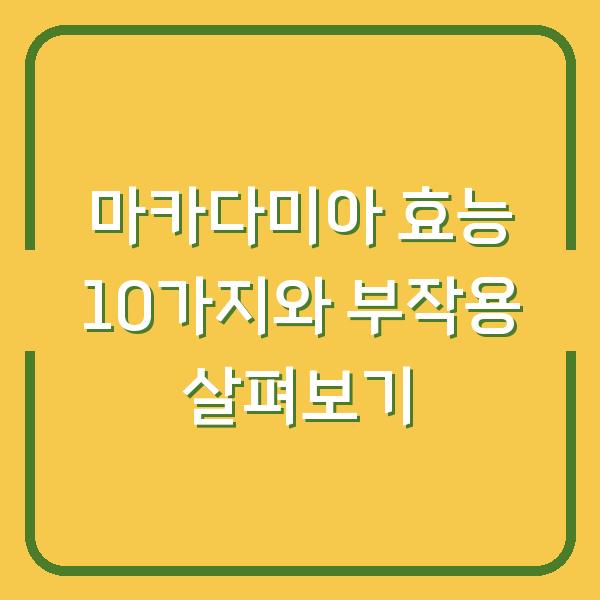 마카다미아 효능 10가지와 부작용 살펴보기