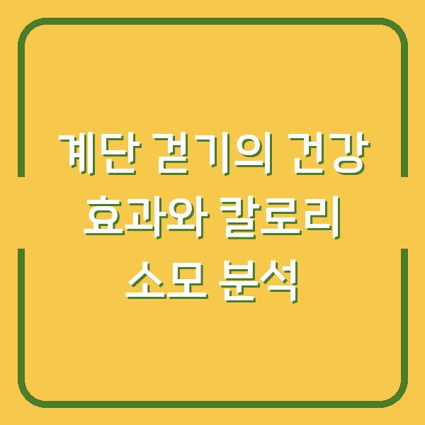 계단 걷기의 건강 효과와 칼로리 소모 분석