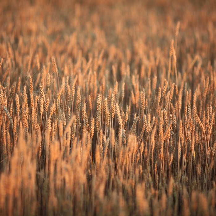 라이젠 9 7950X3D