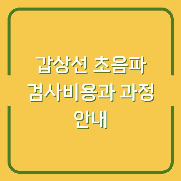 갑상선 초음파 검사비용과 과정 안내