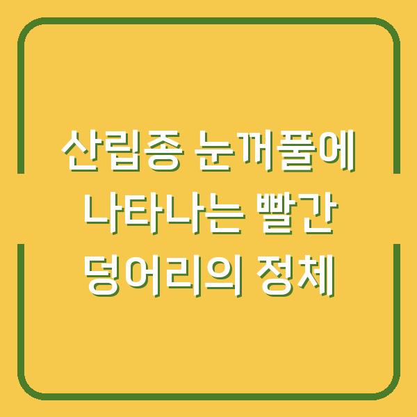 산립종 눈꺼풀에 나타나는 빨간 덩어리의 정체