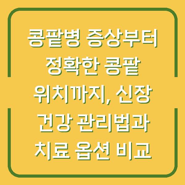 콩팥병 증상부터 정확한 콩팥 위치까지, 신장 건강 관리법과 치료 옵션 비교